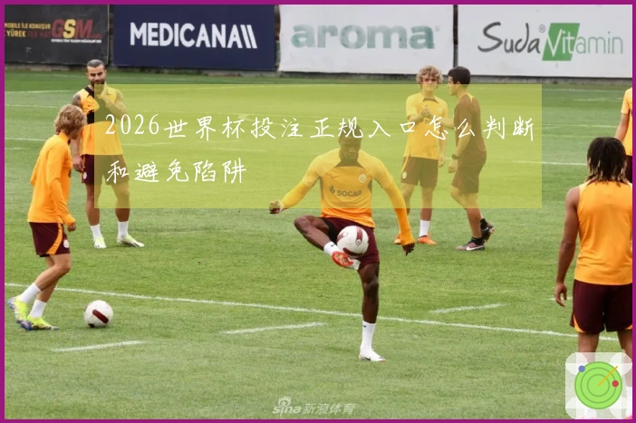 2026世界杯投注正规入口怎么判断和避免陷阱