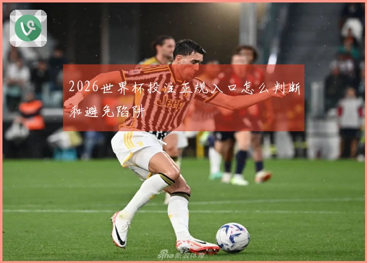 2026世界杯投注正规入口怎么判断和避免陷阱