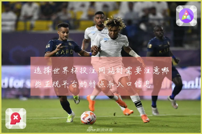 选择世界杯投注网站时需要注意哪些正规平台的特点和入口信息