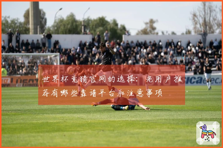 世界杯竞猜官网的选择：老用户推荐有哪些靠谱平台和注意事项