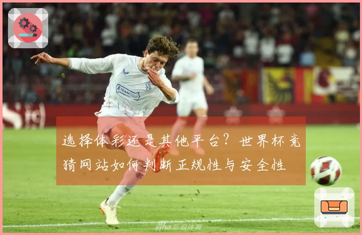 选择体彩还是其他平台？世界杯竞猜网站如何判断正规性与安全性